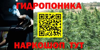 стафф Обнинск