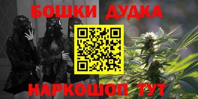 Альфа ПВП Новодвинск