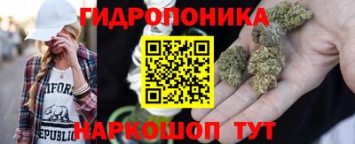 Альфа ПВП Новодвинск