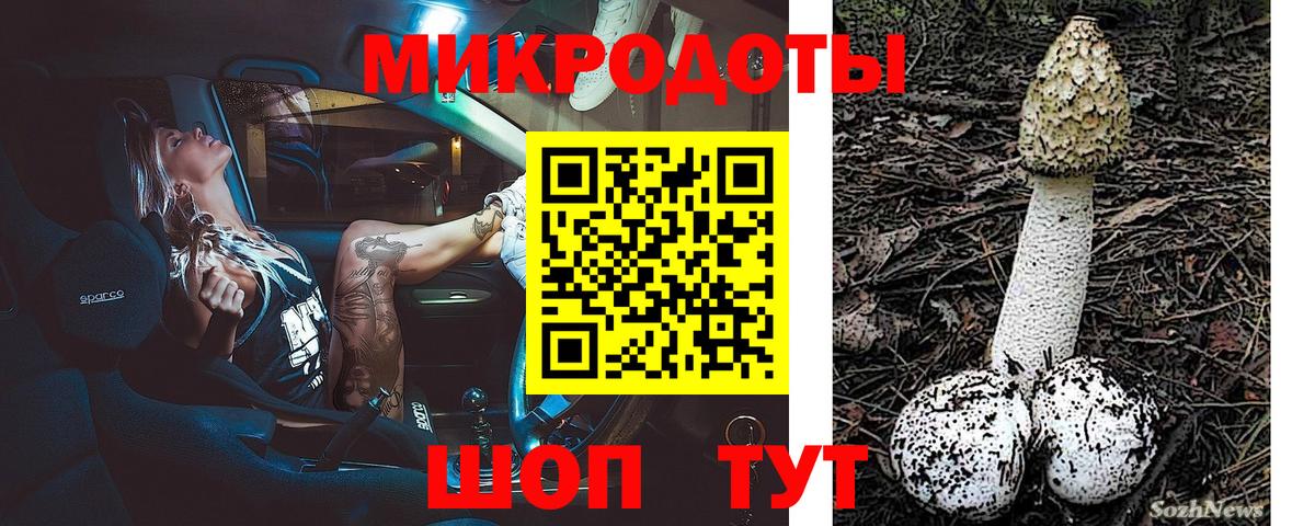 Псилоцибиновые грибы MAGIC MUSHROOMS Тайшет