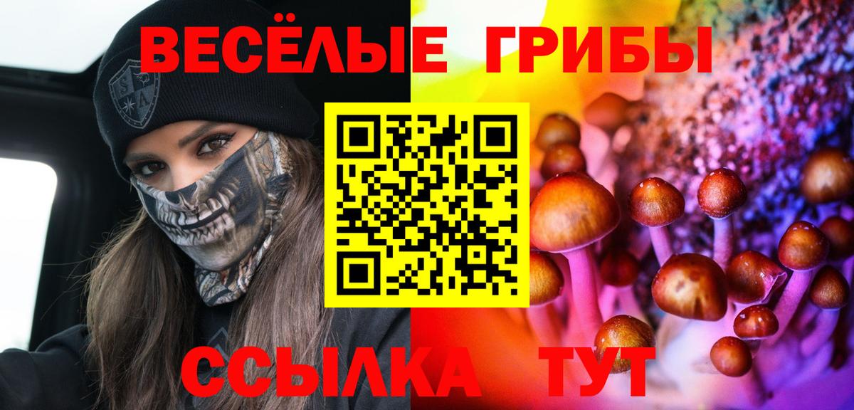 купить закладку  Вход с VPN  Тайшет  Галлюциногенные грибы Magic Shrooms 